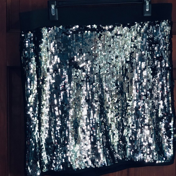 Sequin Skirt NWT - Picture 1 of 5